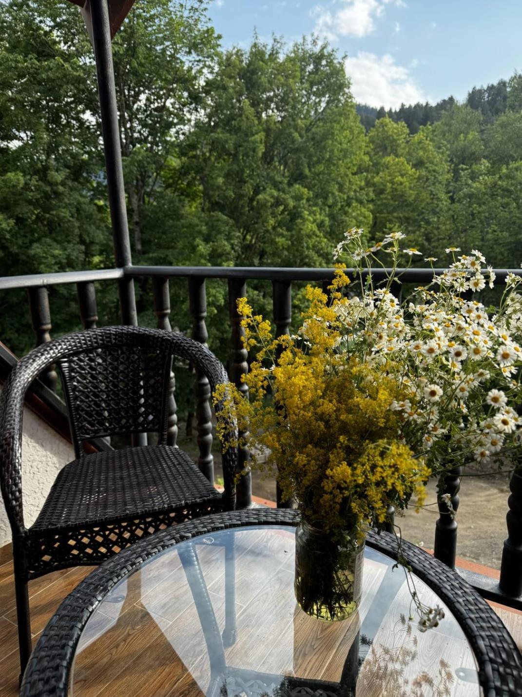 Hotel Iveria Abastumani Dış mekan fotoğraf